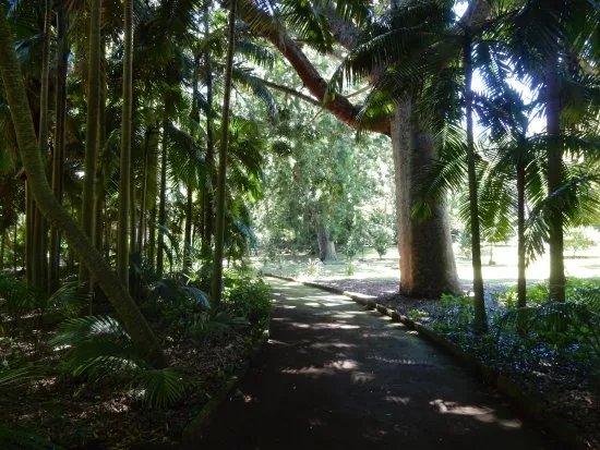 Jose do Canto Botanical Garden