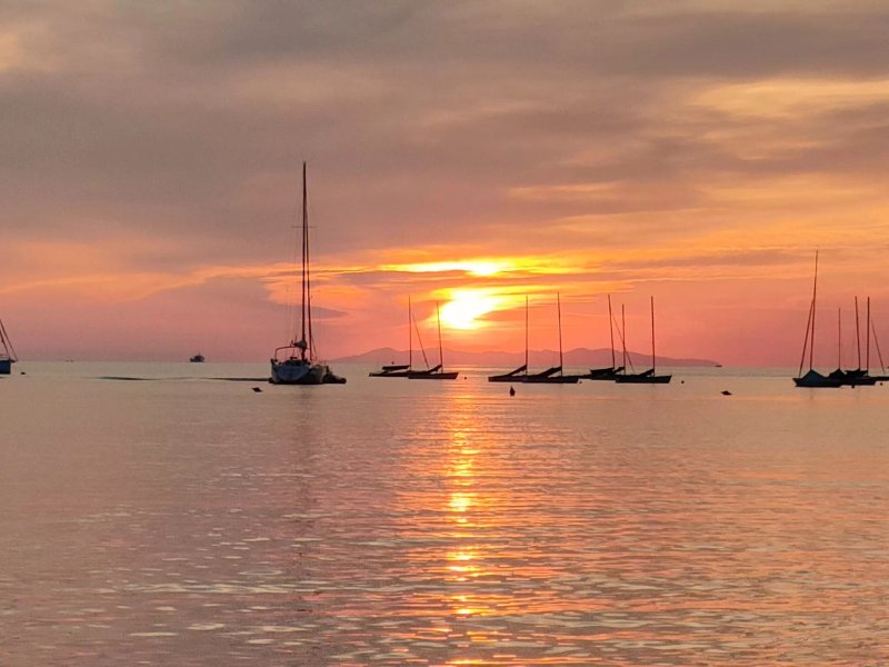 IL FARO Osteria di Mare