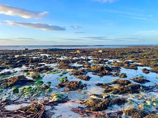 Rosehearty Beach