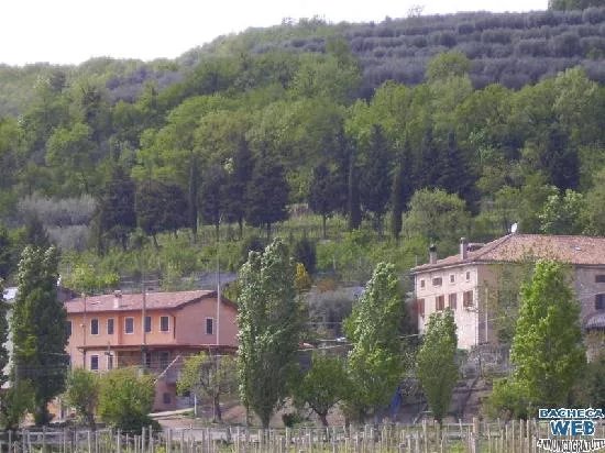 Centro Ippico Agrituristico di Mario Andreis