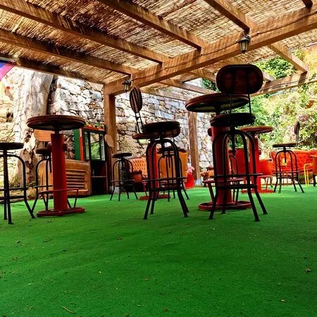 Disco - Alternative Shop & Bar