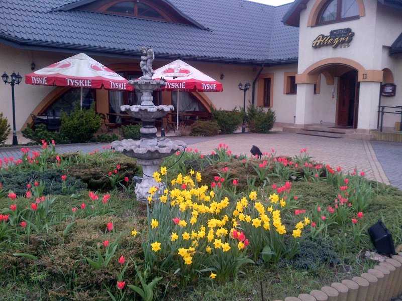 Hotel Allegri