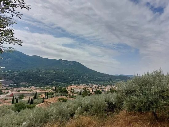 Sentier des Oliviers