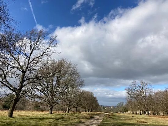 Knole House Estate Walking Trails