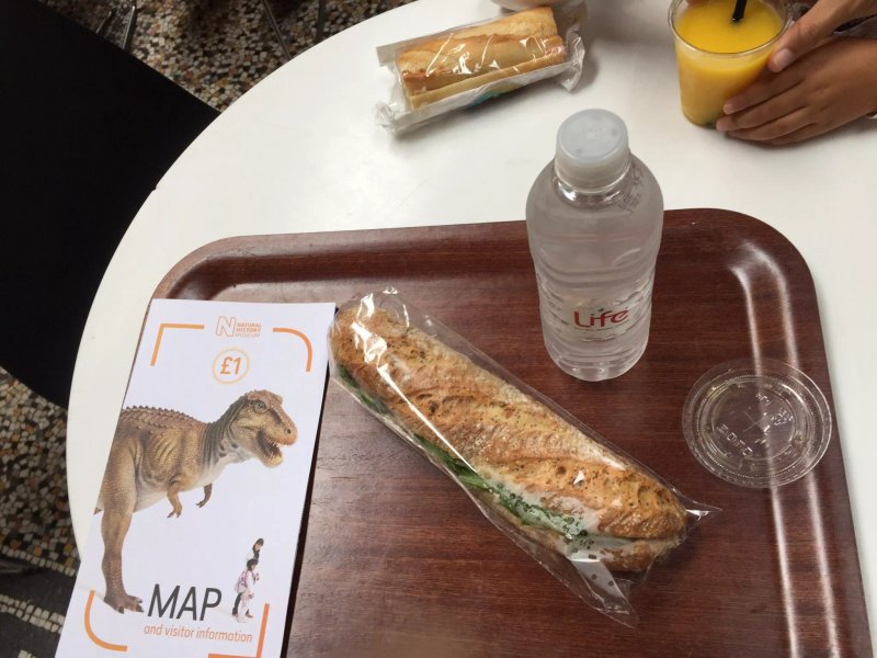 Central Cafe - Natural History Museum