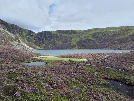 Loch Brandy