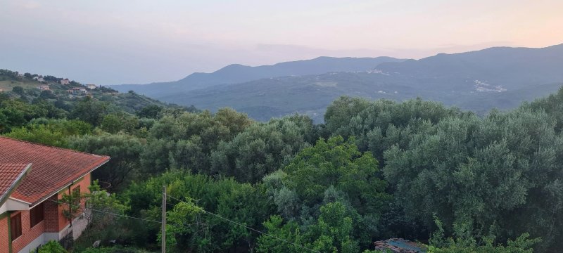 Casa Vacanze Primula Palinuro