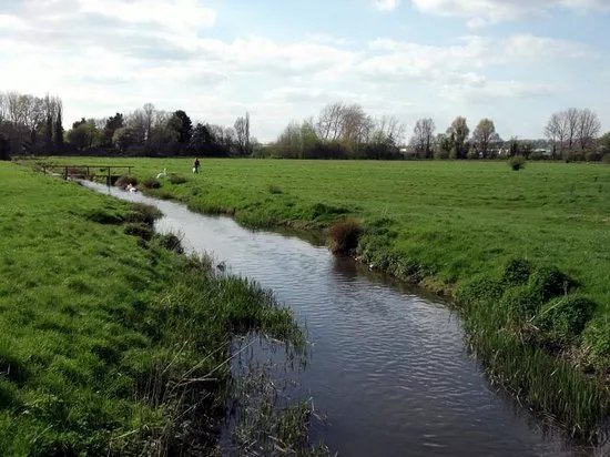 Harnham Water Meadows