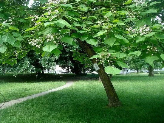 Parco Di Villa Finzi