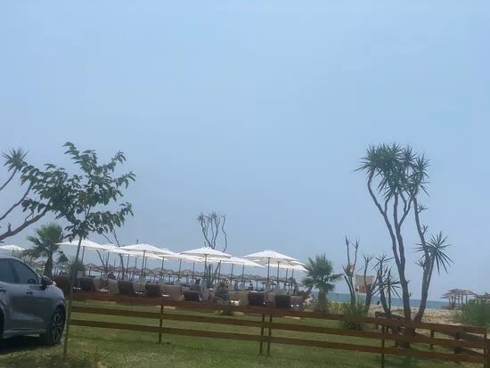 Medousa Beach Bar