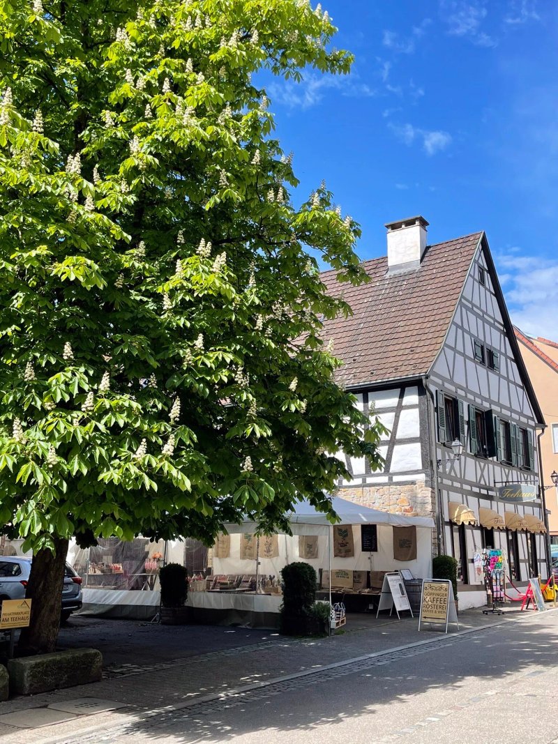 Teehaus Weirich