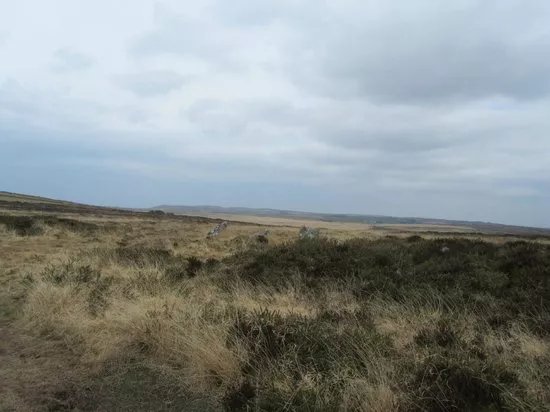 Nine Maidens