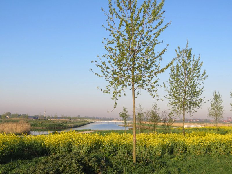 Hoeve Cornelia