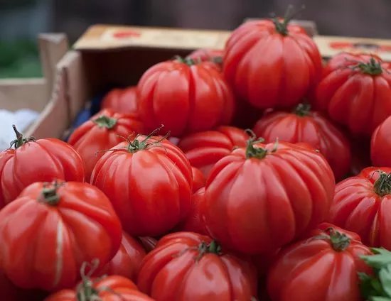 Mercato Settimanale del Lunedi