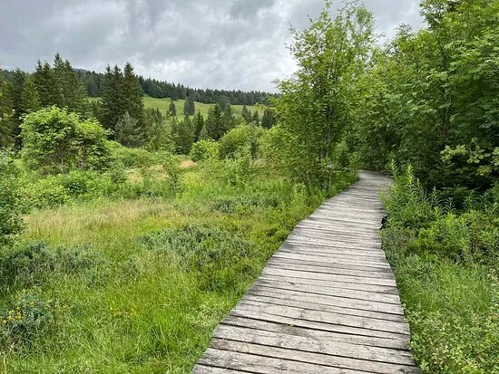 Zauberwaldpfad Bernau