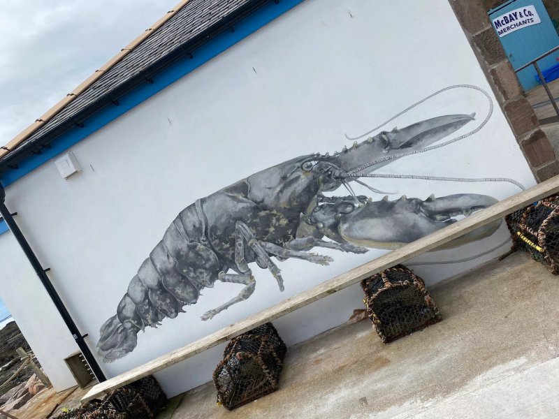 The lobster shop