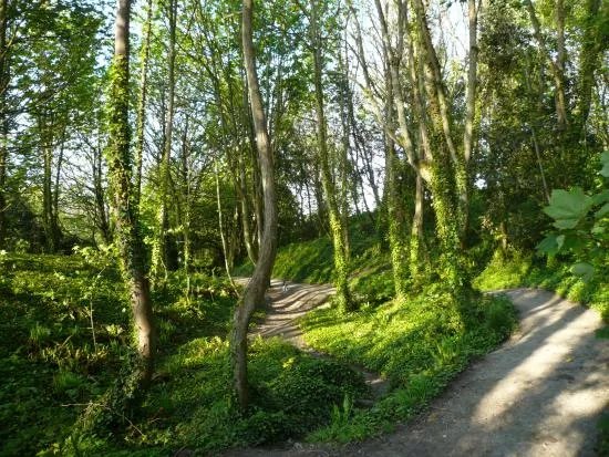 Bonchurch Landslip