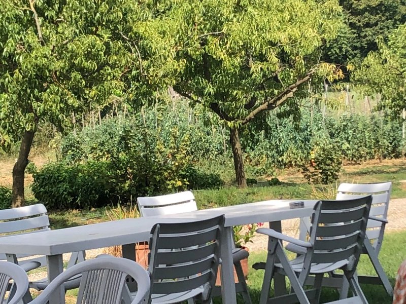 Azienda Agricola La Querce