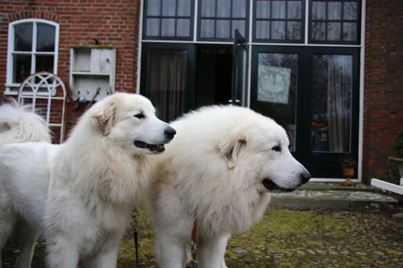 B en B Groningen