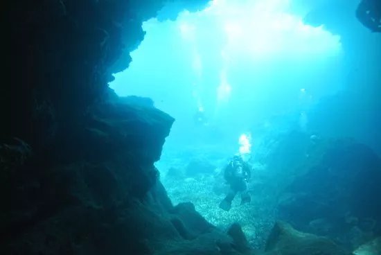 First Class Divers