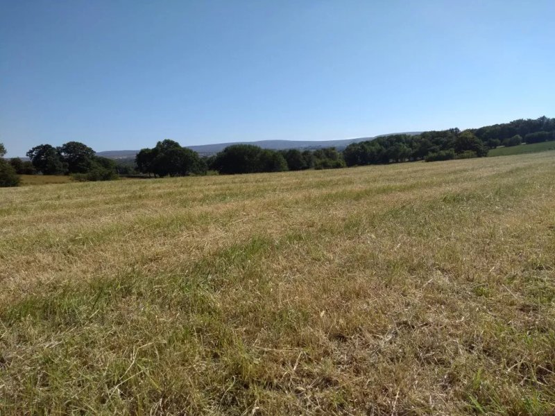 Goodenbergh Country Holiday Park