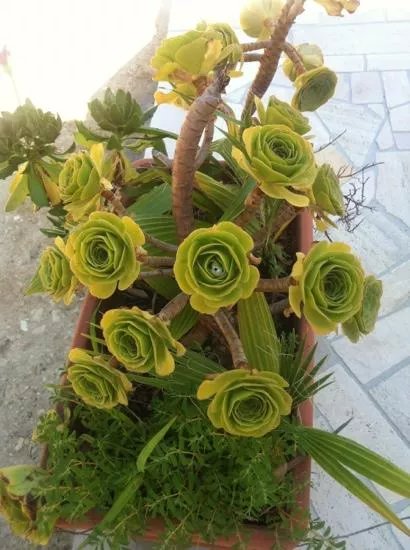 B&b Otranto Le Sancinare