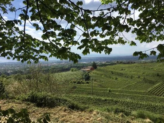 Azienda Vinicola Barone di Villagrande e Cantine