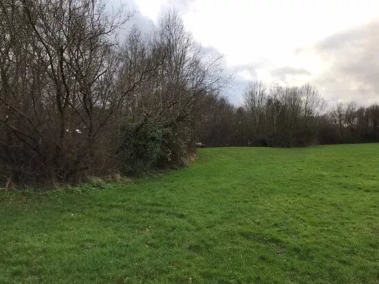Great Berry Open Space