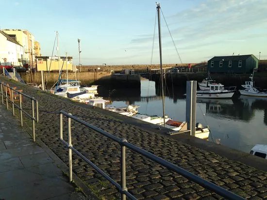 St Andrews Harbour Trust