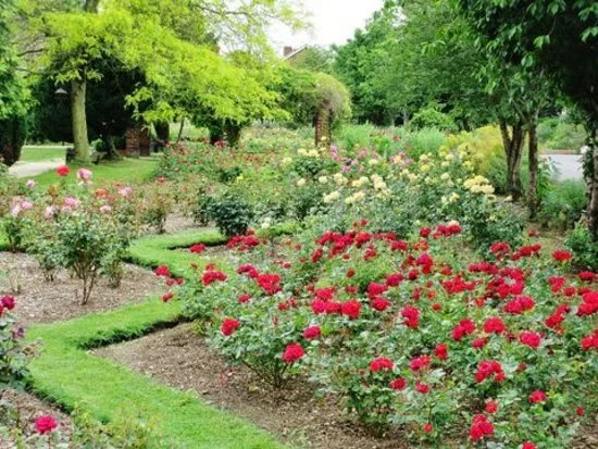 Bury Lodge Park