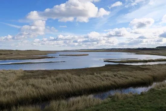 Norfolk Wildlife Trust Cley Marshes