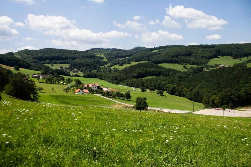 Waldhof Grasel