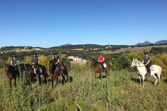 Horses and Culture