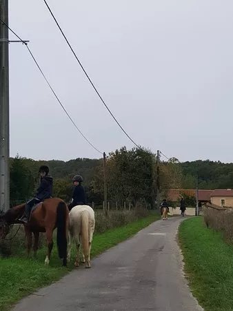 Riding Club and Pony Club Forest Mouliere
