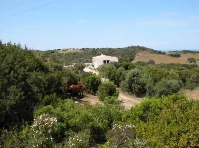 House/villa with sea view garden 900 mt from rena majore beach