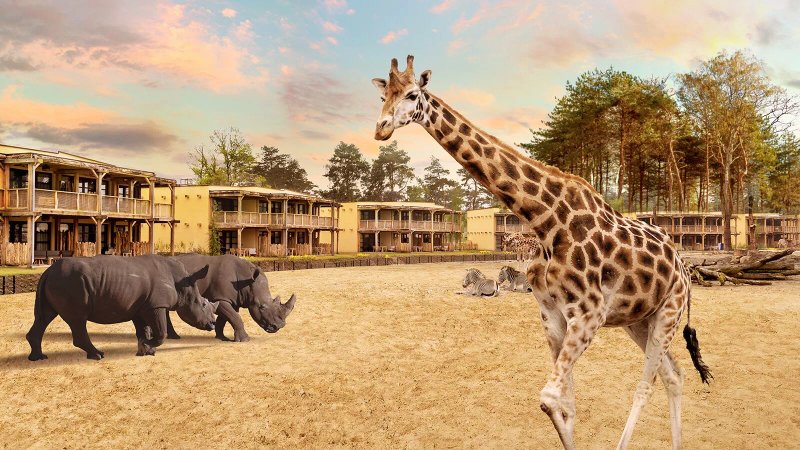 Safari Hotel Beekse Bergen