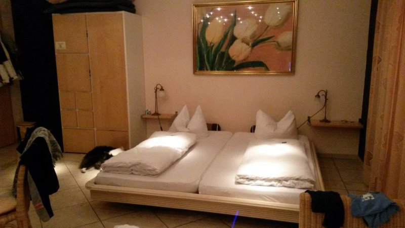 Landhotel Falken