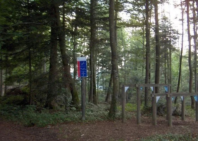 Parcours Vita