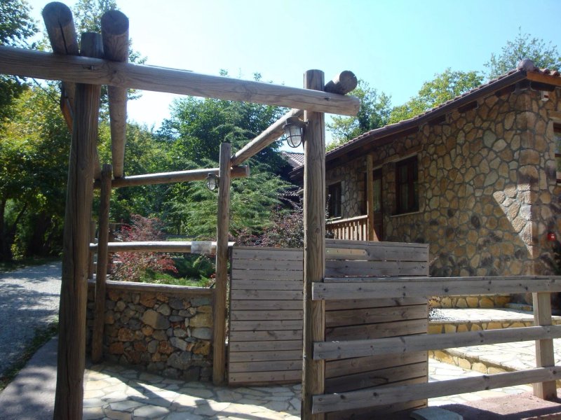 Timberland Cabins