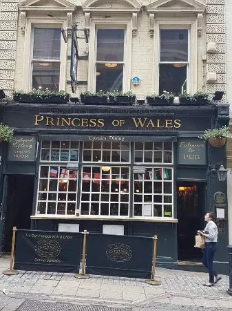 The Princess Of Wales