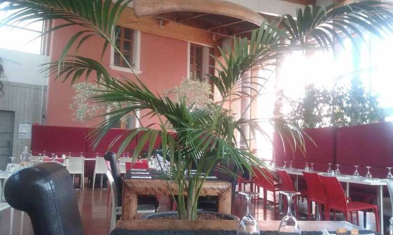 La Terrasse Cafe Sport