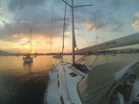 Papillon Charter