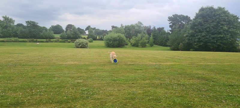 Sandyford Farm