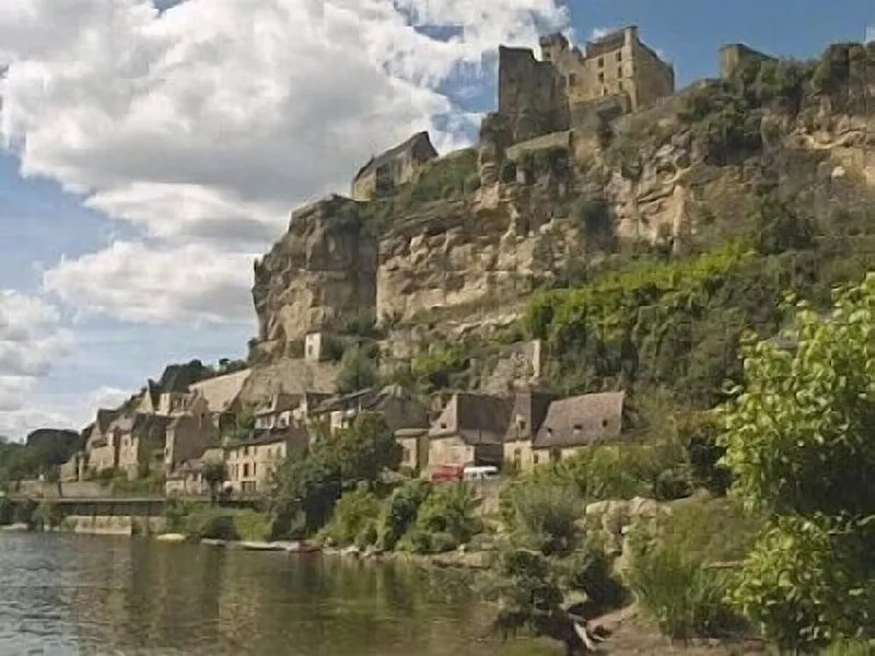 Independent house with heated pool (Perigord Noir hamlet)
