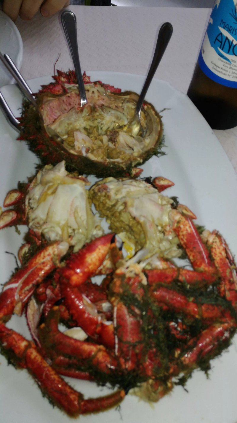 Sabor Del Bueno