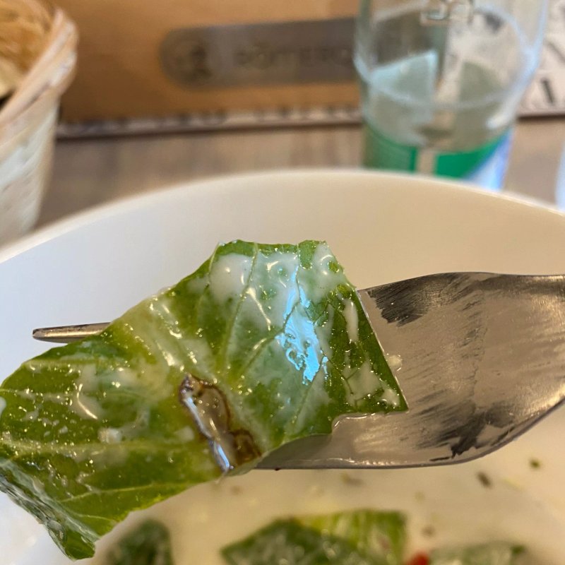 Trappola Pizzeria-Ristorante
