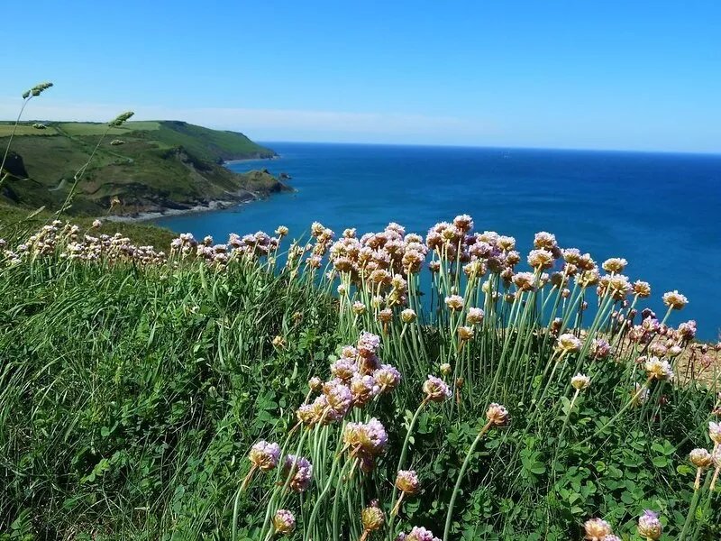 Callowen Cottage, Crackington. Holidays at Crackington Haven