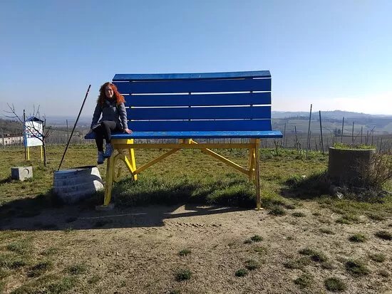 Big Bench n.98