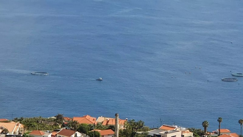 Casa Vista Bela by Our Madeira