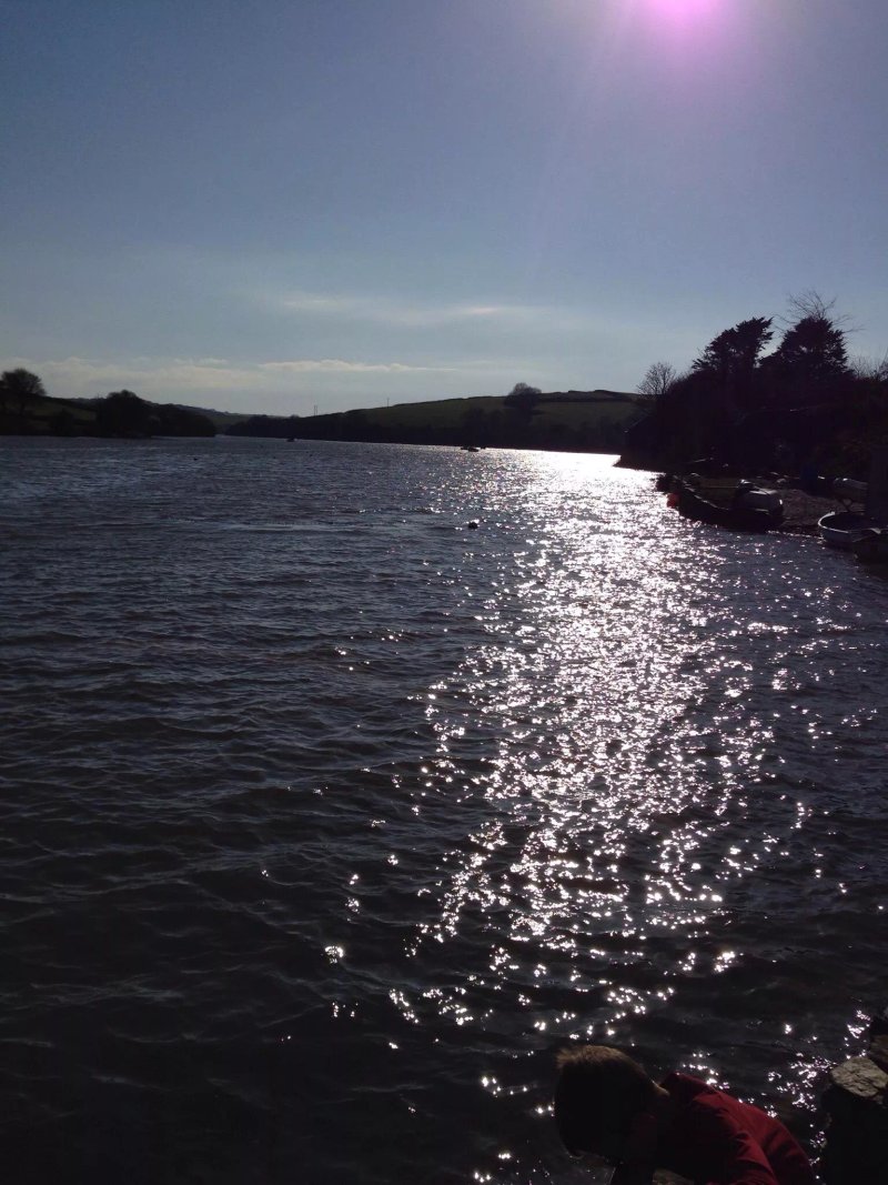 Up The Creek
